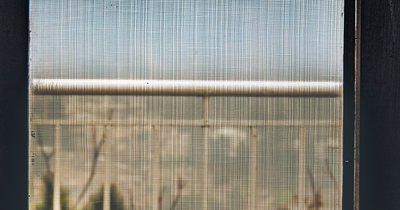 Insektenschutz-Fenster und Türen: Lösungen